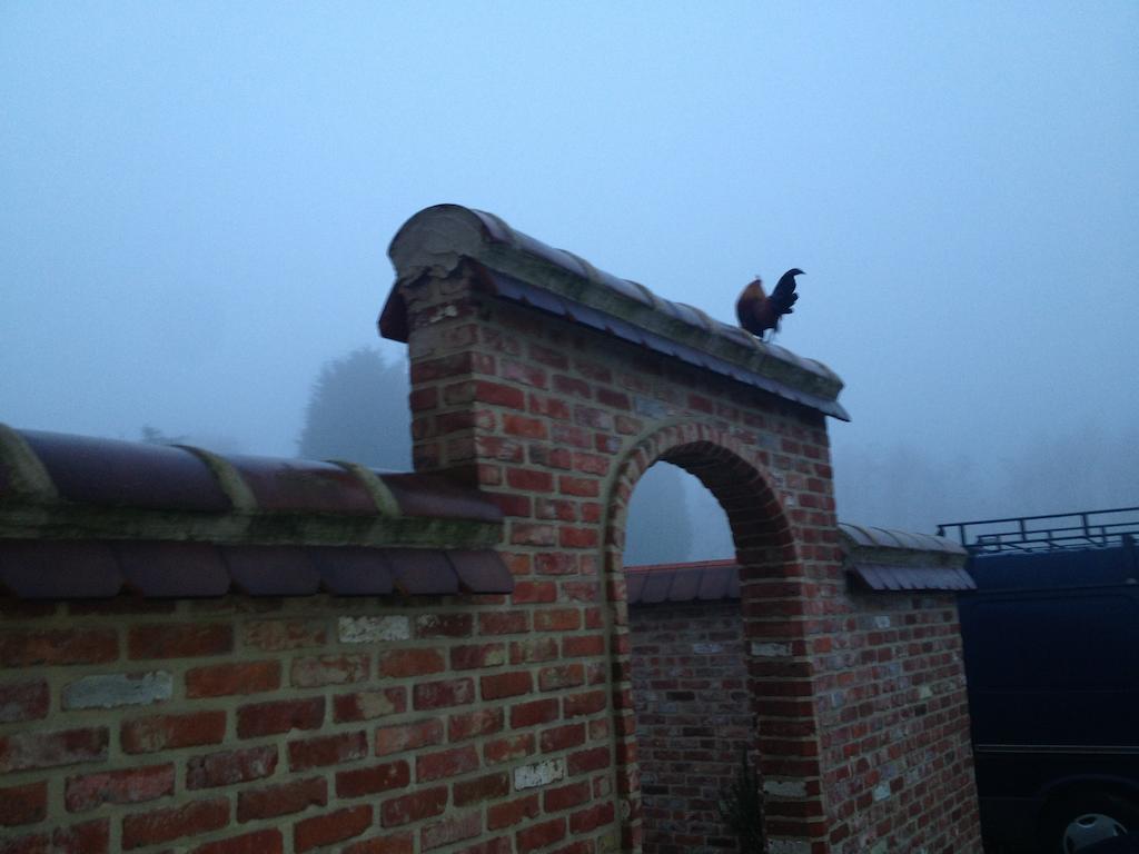 B&B Silentium Tielt-Winge Bagian luar foto