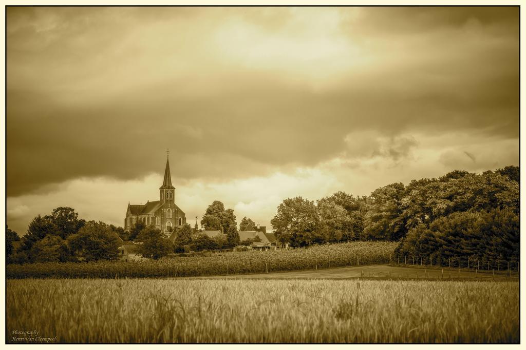 B&B Silentium Tielt-Winge Bagian luar foto