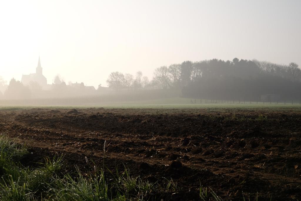 B&B Silentium Tielt-Winge Bagian luar foto