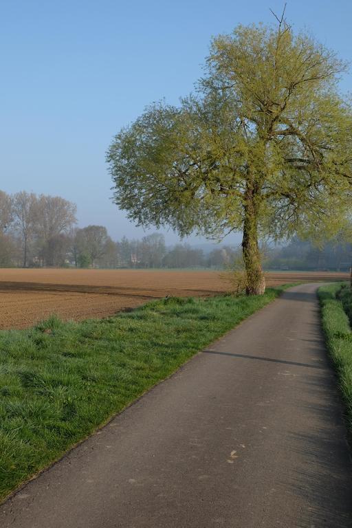 B&B Silentium Tielt-Winge Bagian luar foto