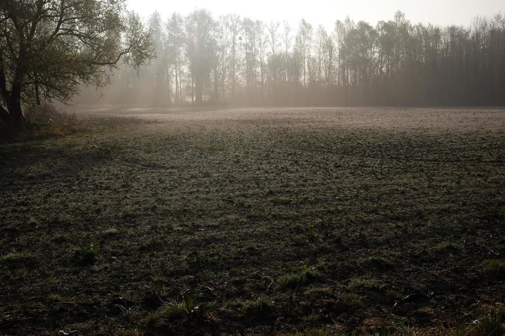 B&B Silentium Tielt-Winge Bagian luar foto