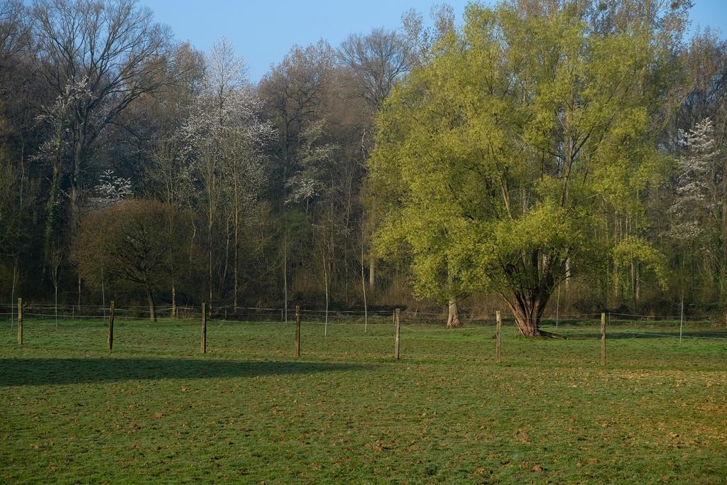 B&B Silentium Tielt-Winge Bagian luar foto