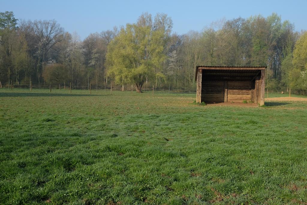 B&B Silentium Tielt-Winge Bagian luar foto