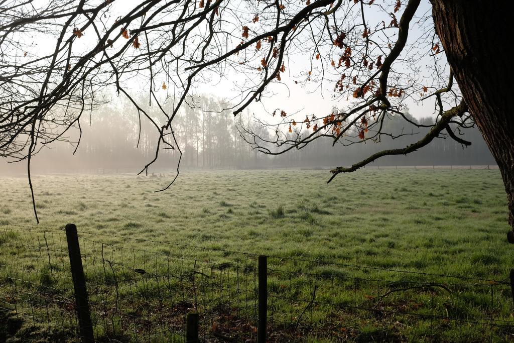 B&B Silentium Tielt-Winge Bagian luar foto
