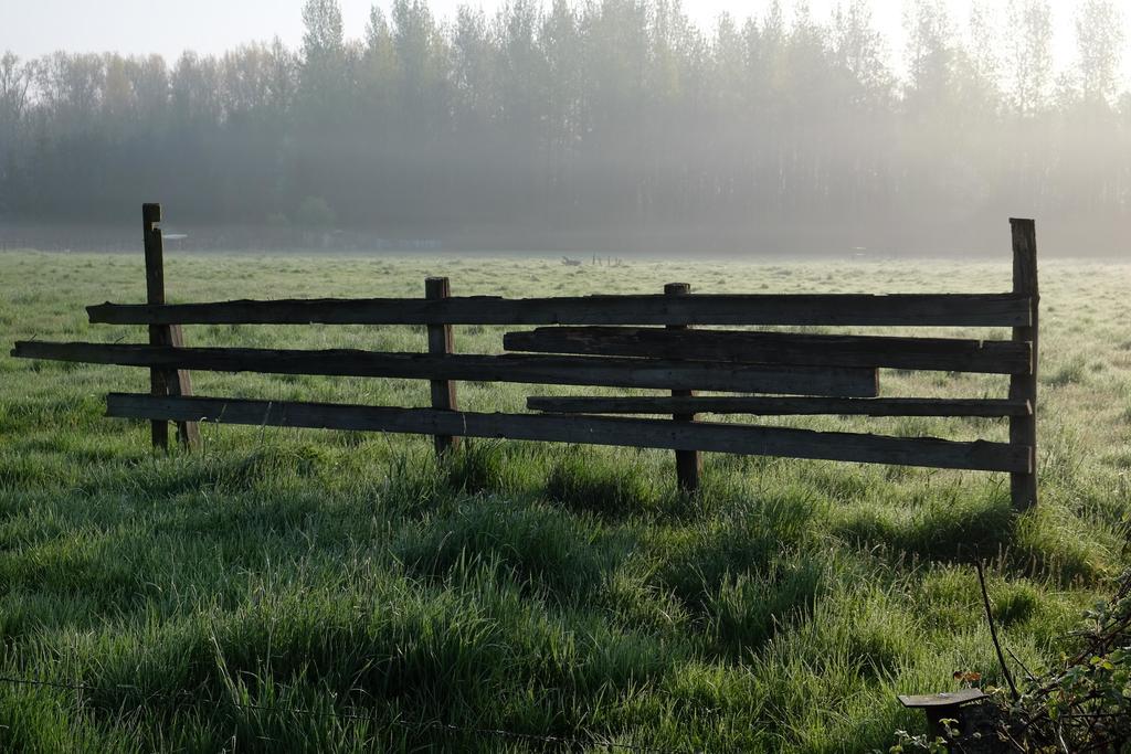 B&B Silentium Tielt-Winge Bagian luar foto